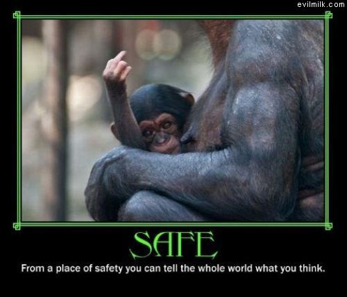 Safe