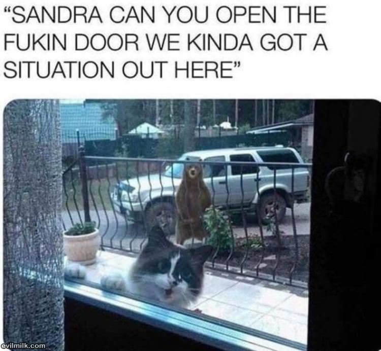 Sandra Can You Open The Door