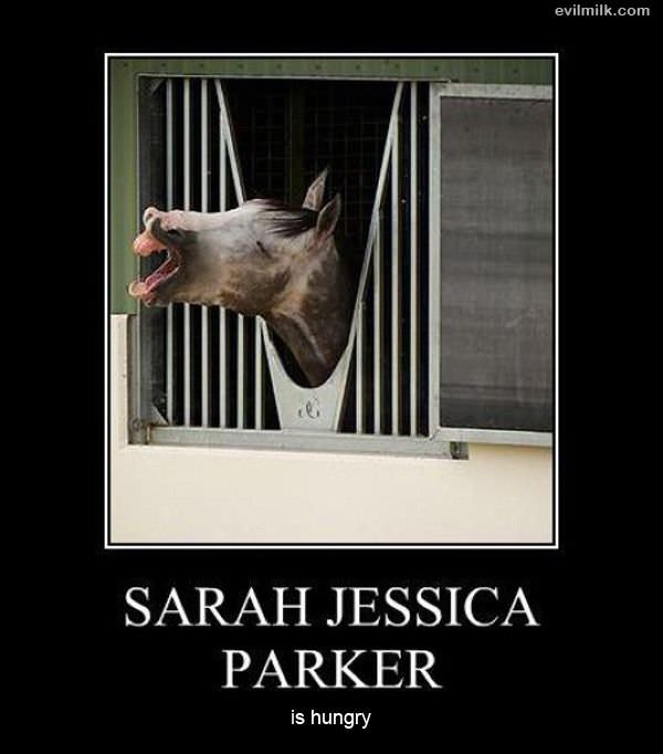 Sarah Jessica Parker