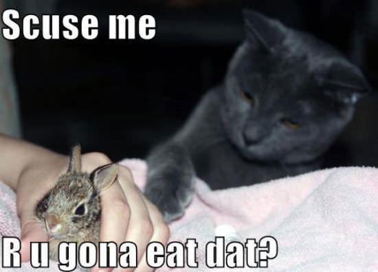 Scuse Me