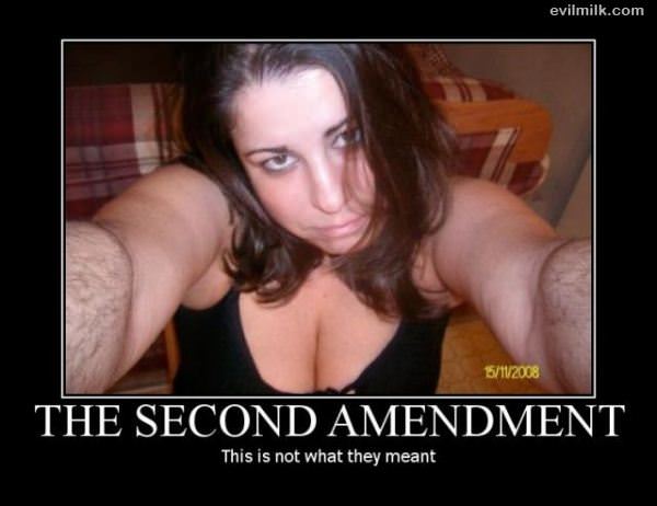 Second Amendment