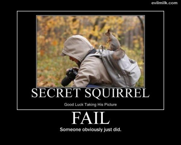 Secret Squirrel