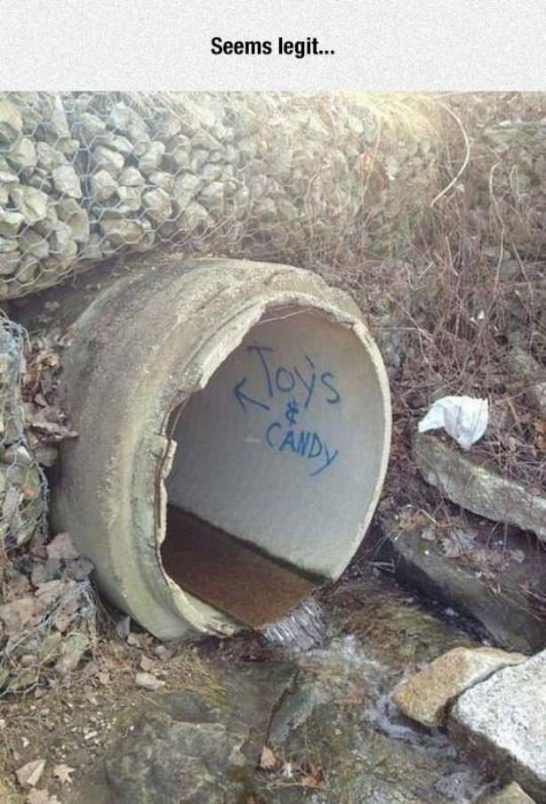 Seems Legit