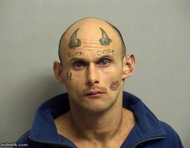 Seems Nice