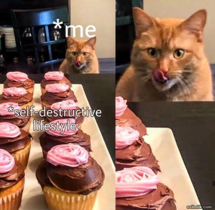 Self Destructive