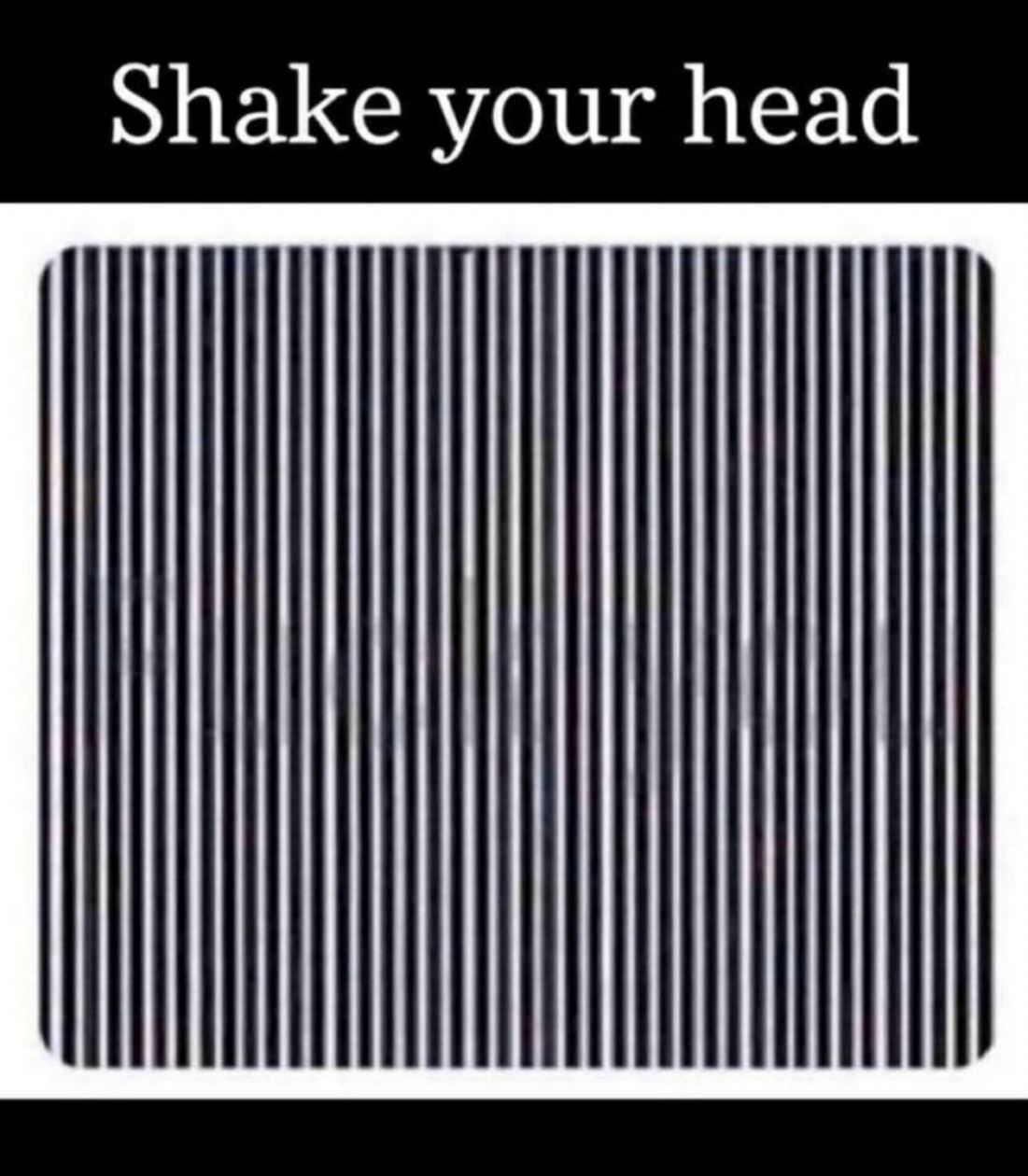 Shake Your Head