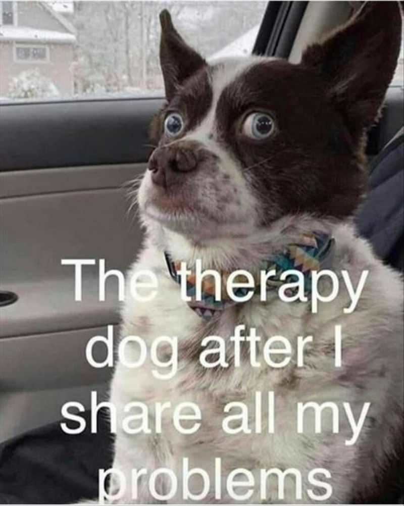 Shared My Problems