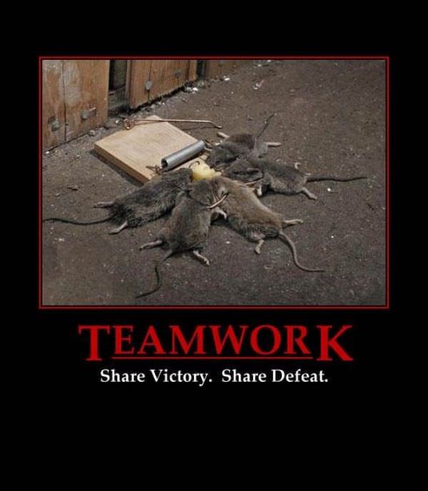 Sharing