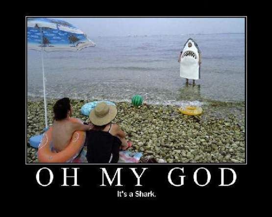 Shark