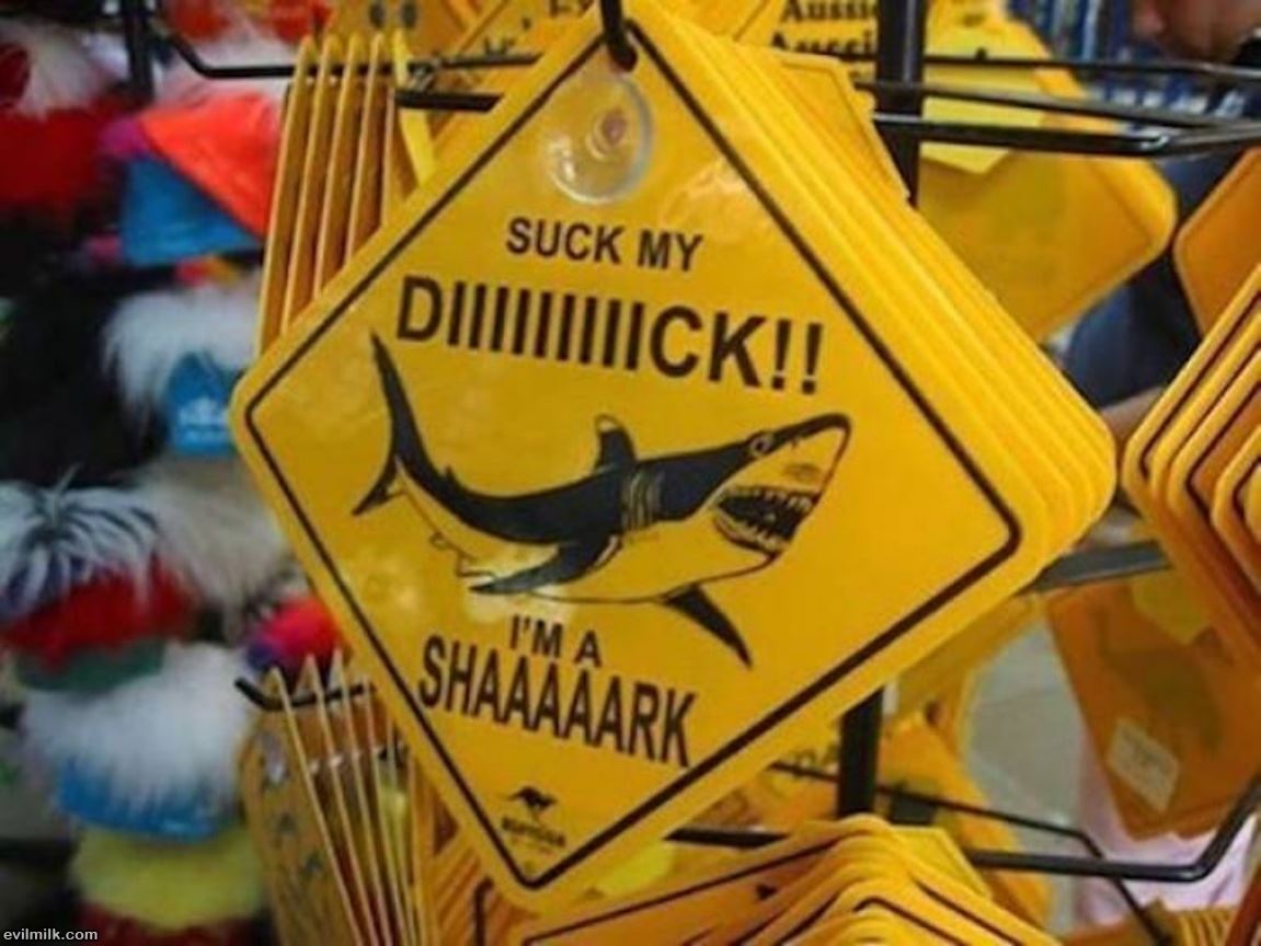 Shark