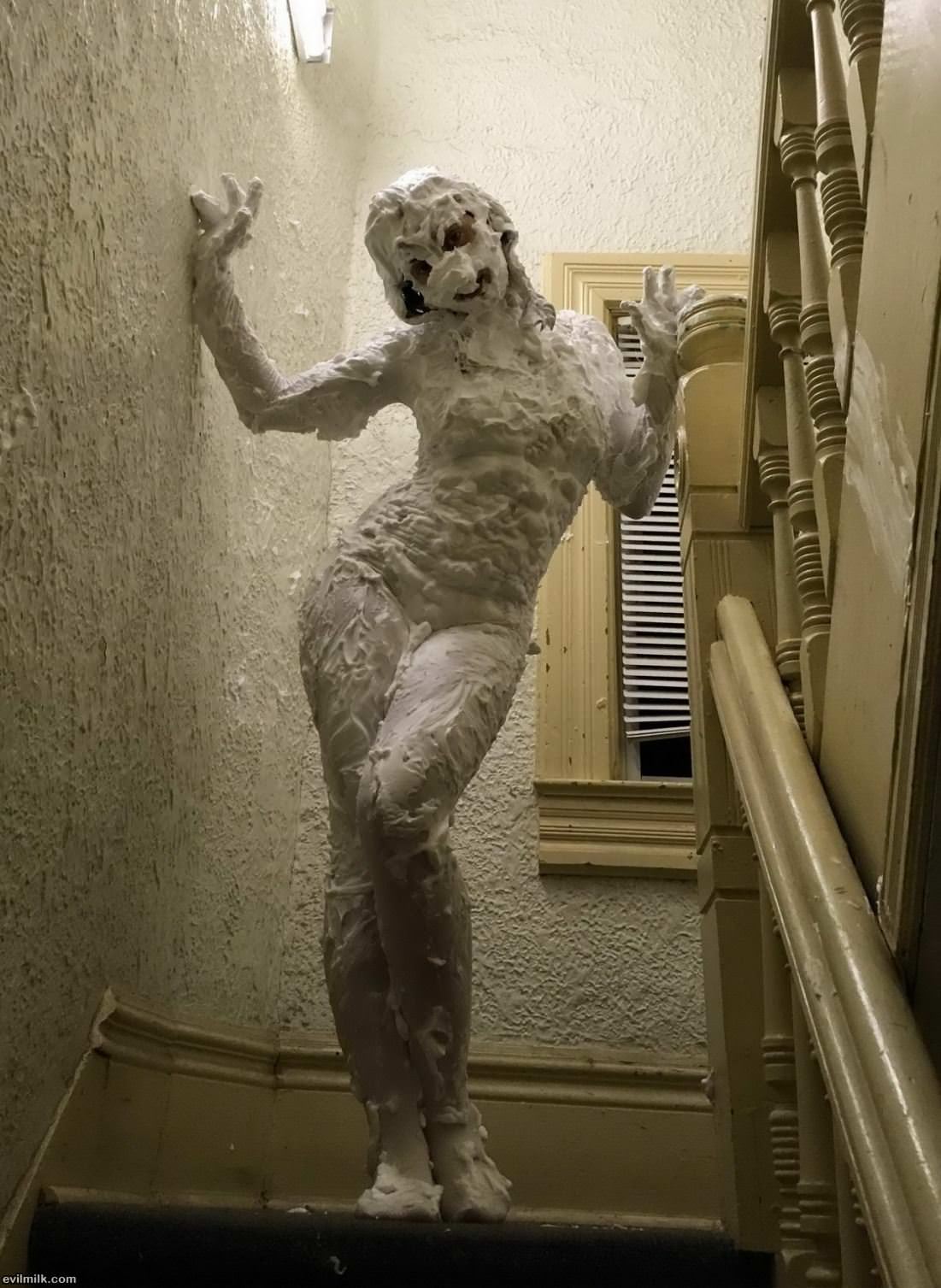 Shaving Time