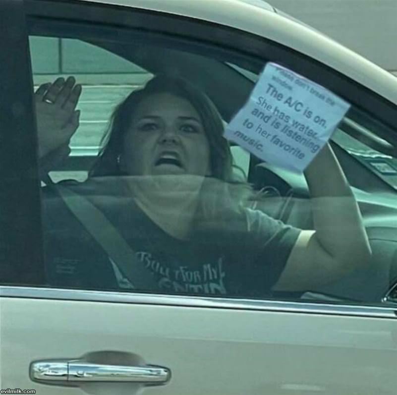 She Is Safe
