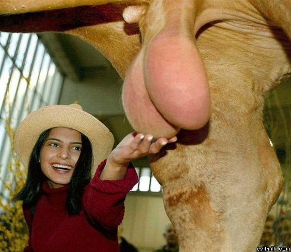 She Likes It