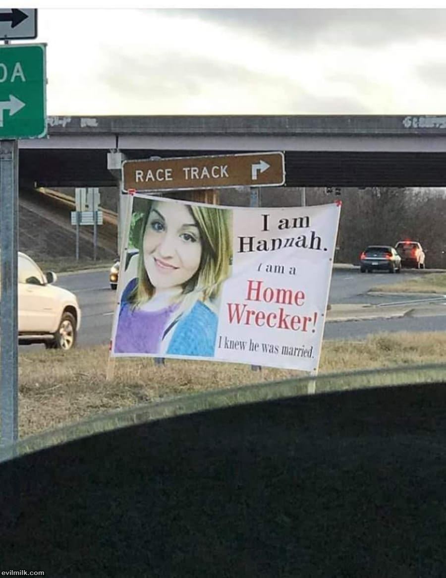 She Seems Like A Nice Lady