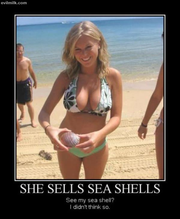 She Sells Sea Shells