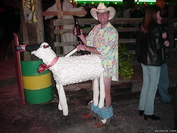 Sheep Costume