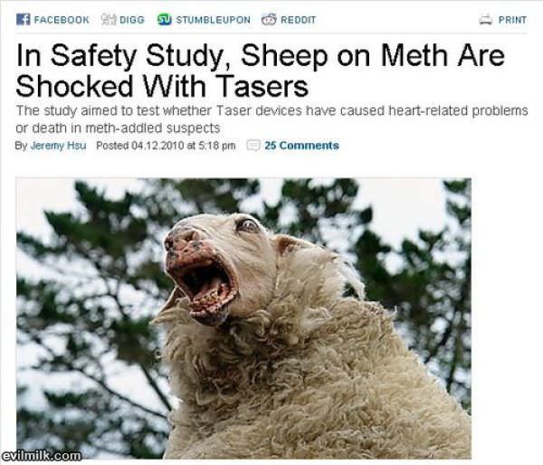 Sheep On Meth