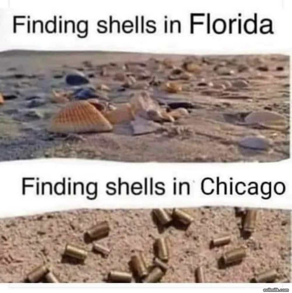 Shells