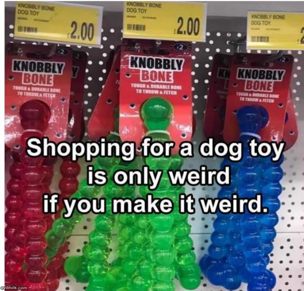 Shopping For A Dog Toy