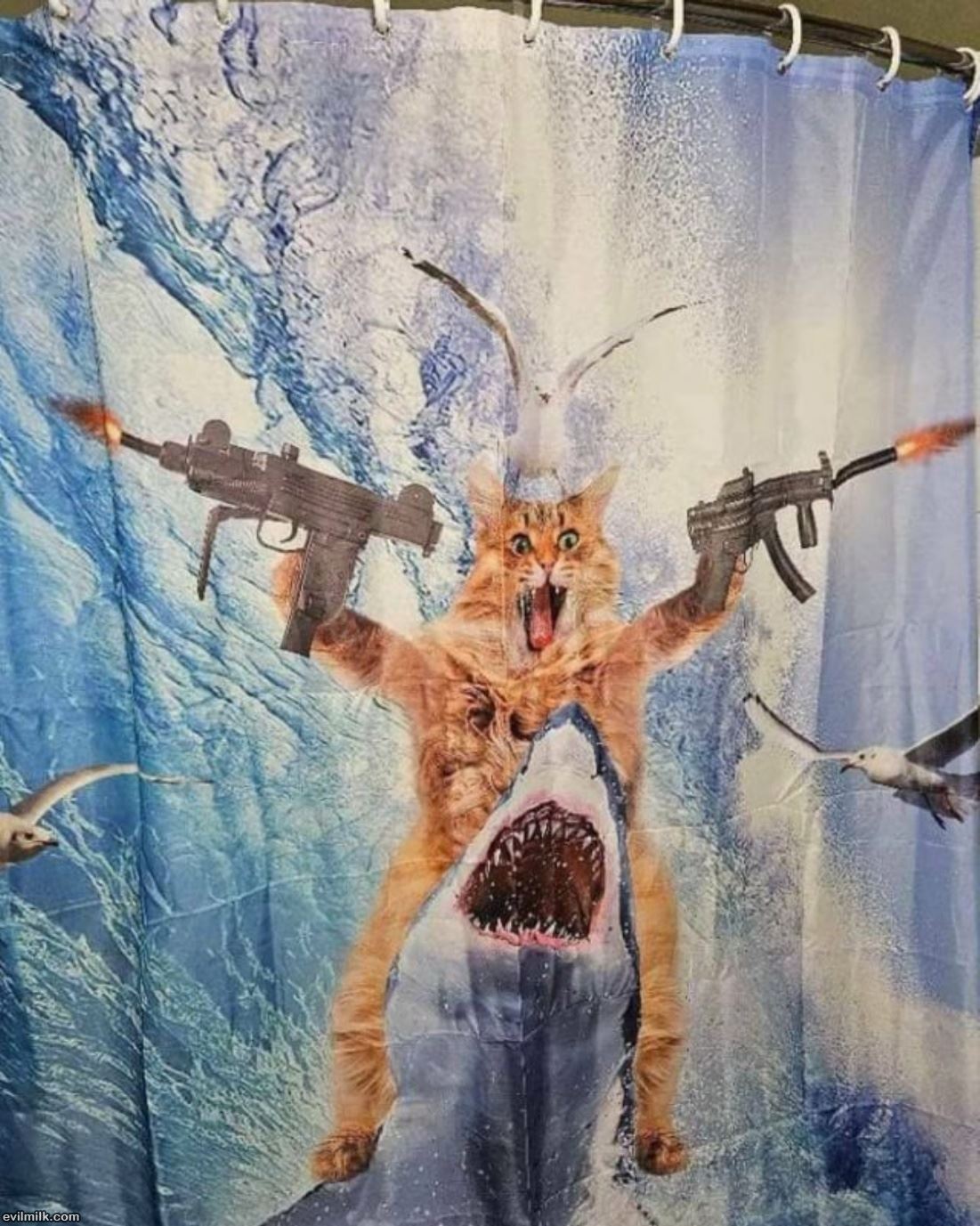 Shower Curtain