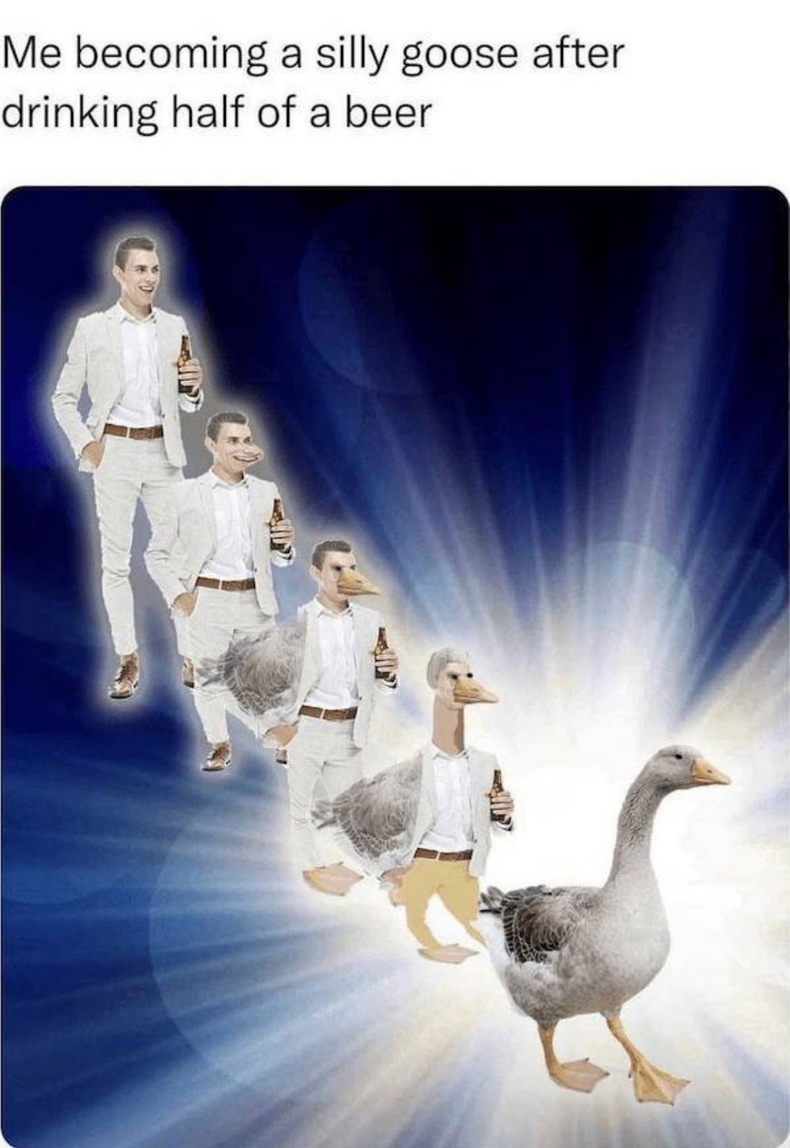 Silly Goose