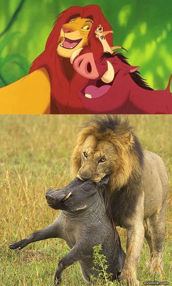 Simba And Pumbaa