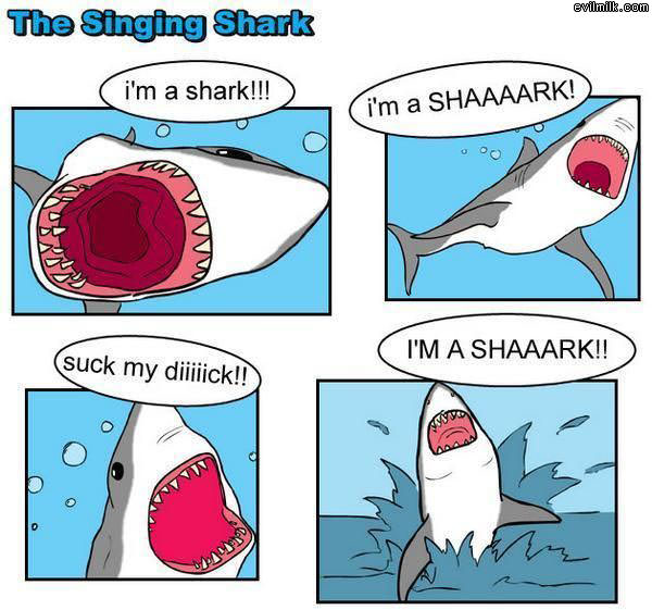Singing Shark