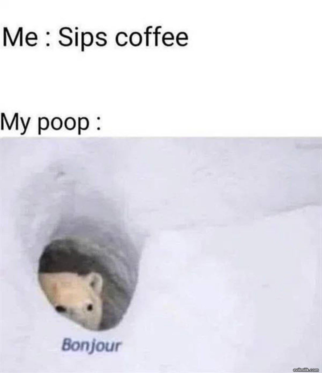 Sips The Coffee