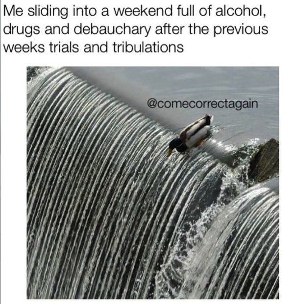 Sliding Into The Weekend