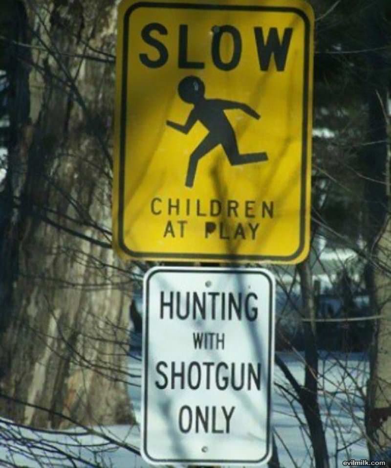 Slow Children At Play