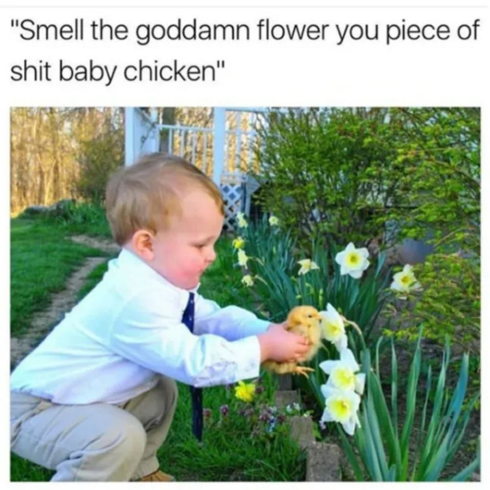 Smell It