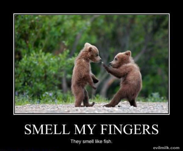 Smell My Fingers
