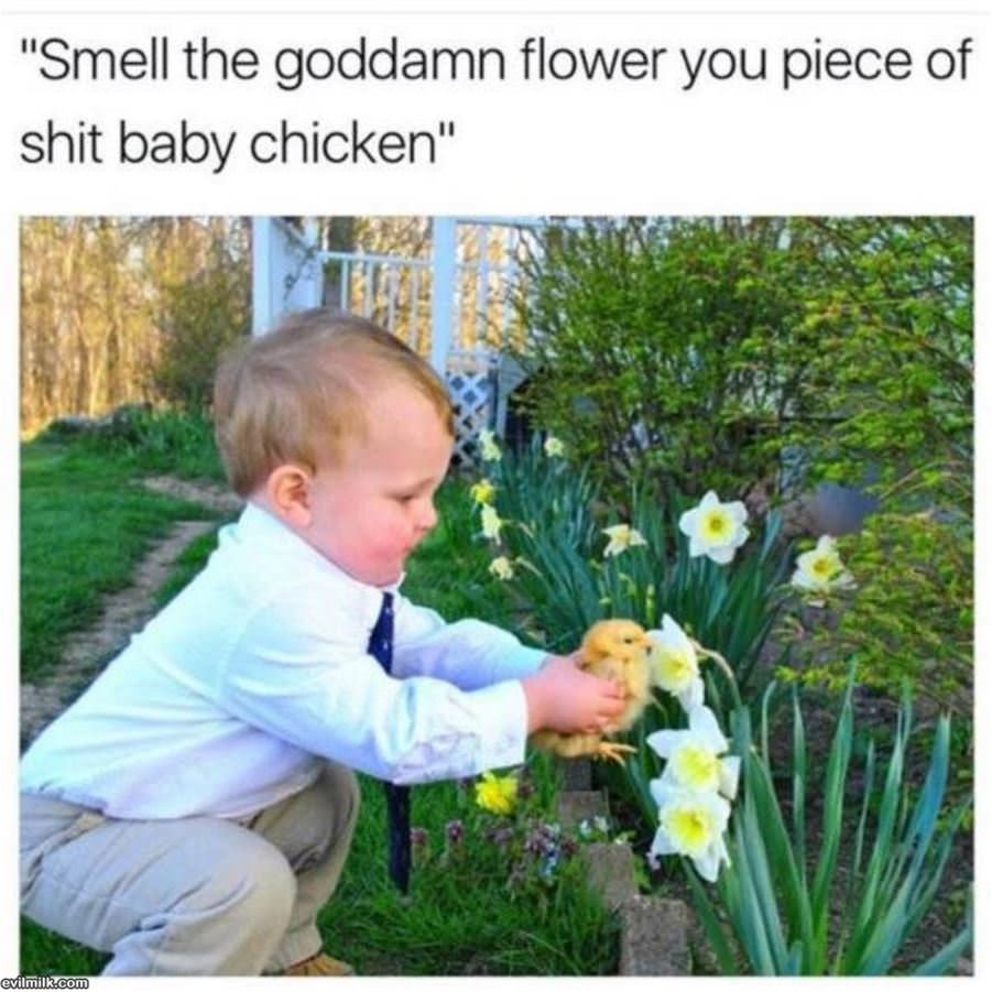 Smell The Flower