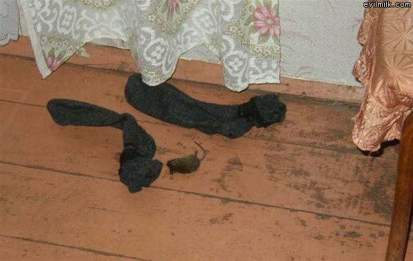 Smelly Socks
