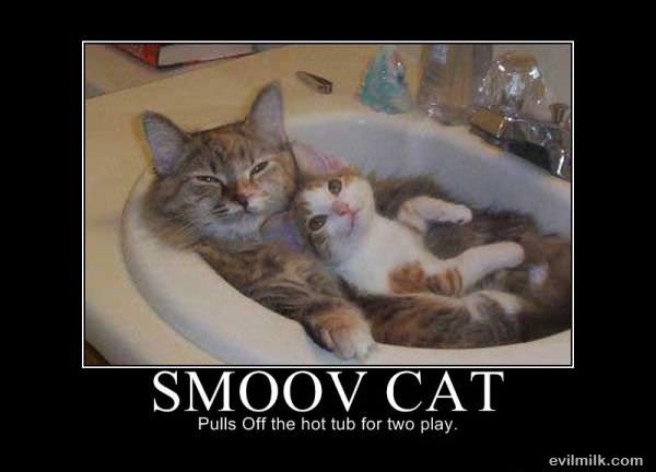 Smoov Cat