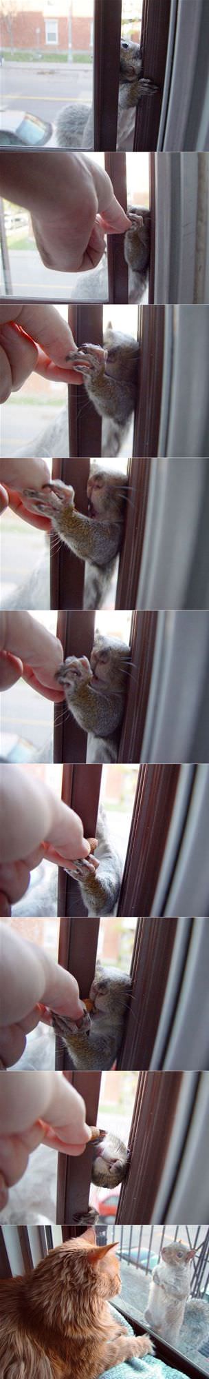 Snacker