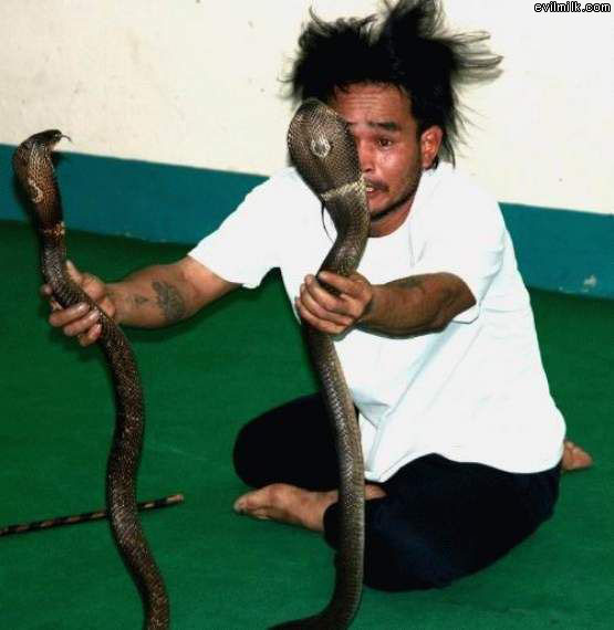 Snake Charmer