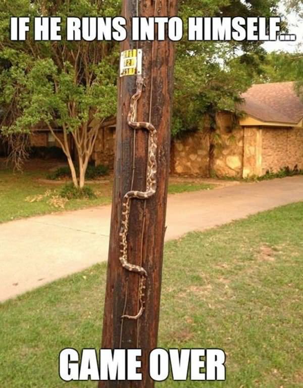 Snake Game