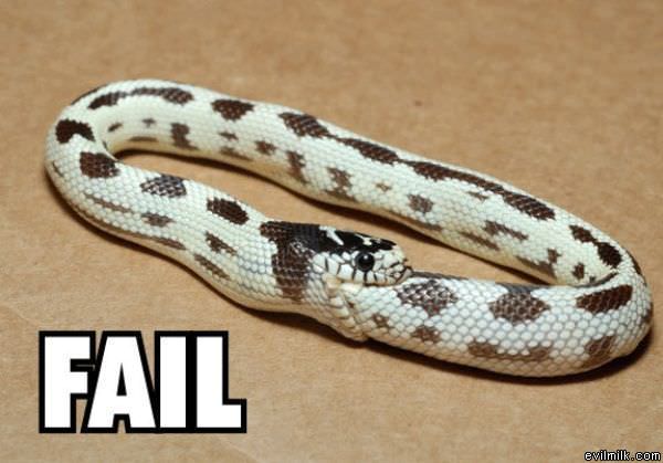 Snake Is A Failure