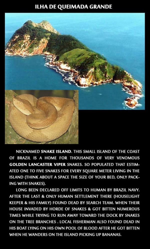 Snake Island