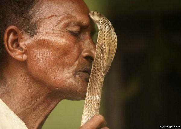 Snake Kisser