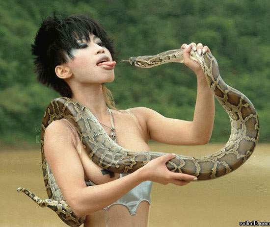 Snake Tease