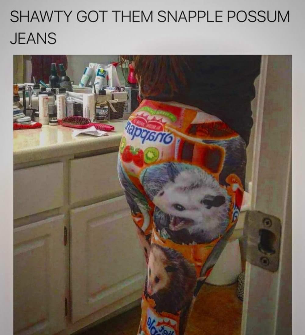 Snapple_Possum.jpg