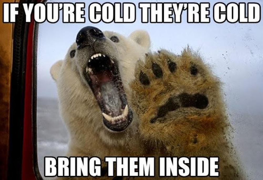 So Cold