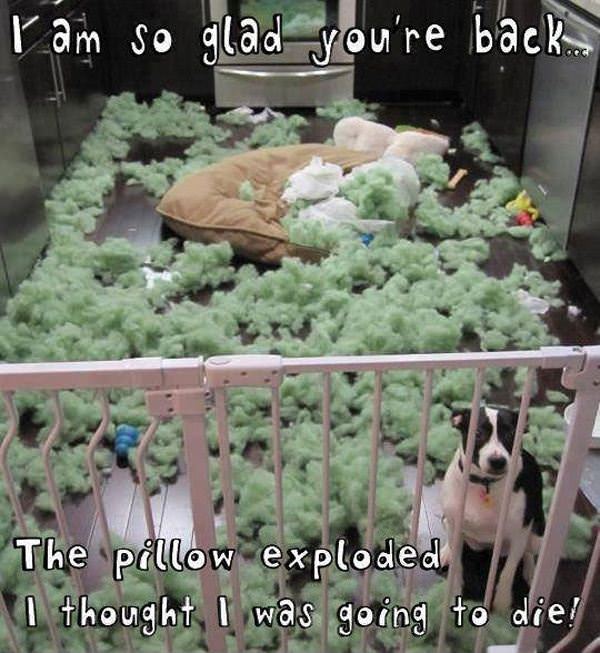 So Glad Your Back