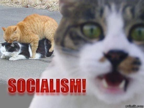 Socialism