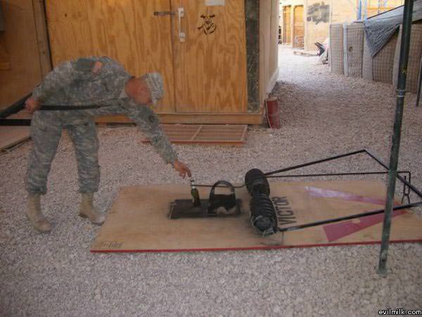 Soldier Trap