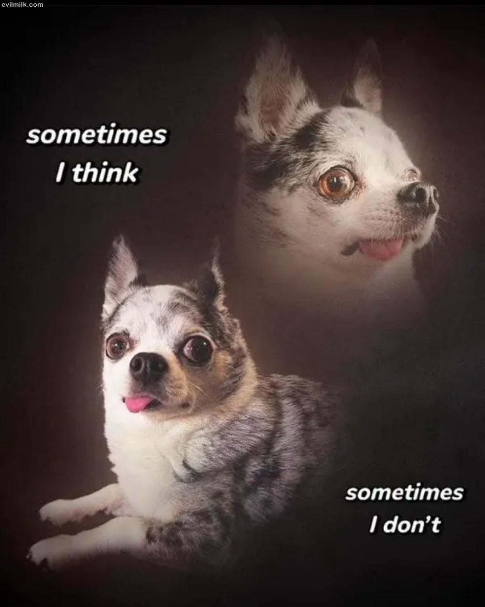 Sometimes I Do Not