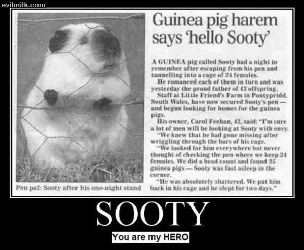 Sooty Is My Hero