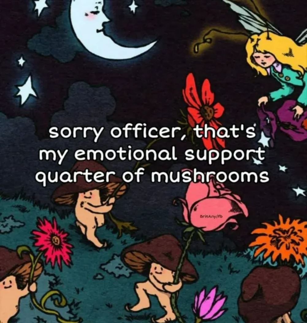 Sorry Officer